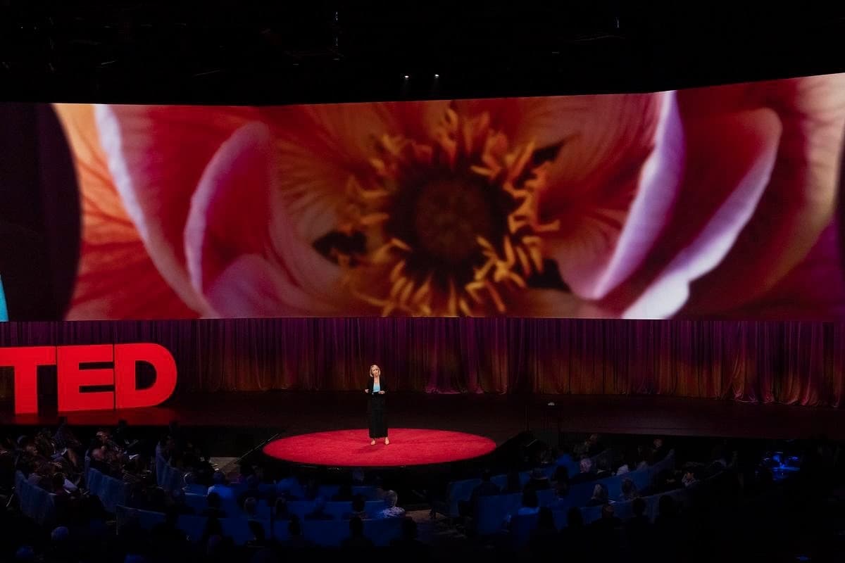 Amy Cuddy on the TED stage — wide view
