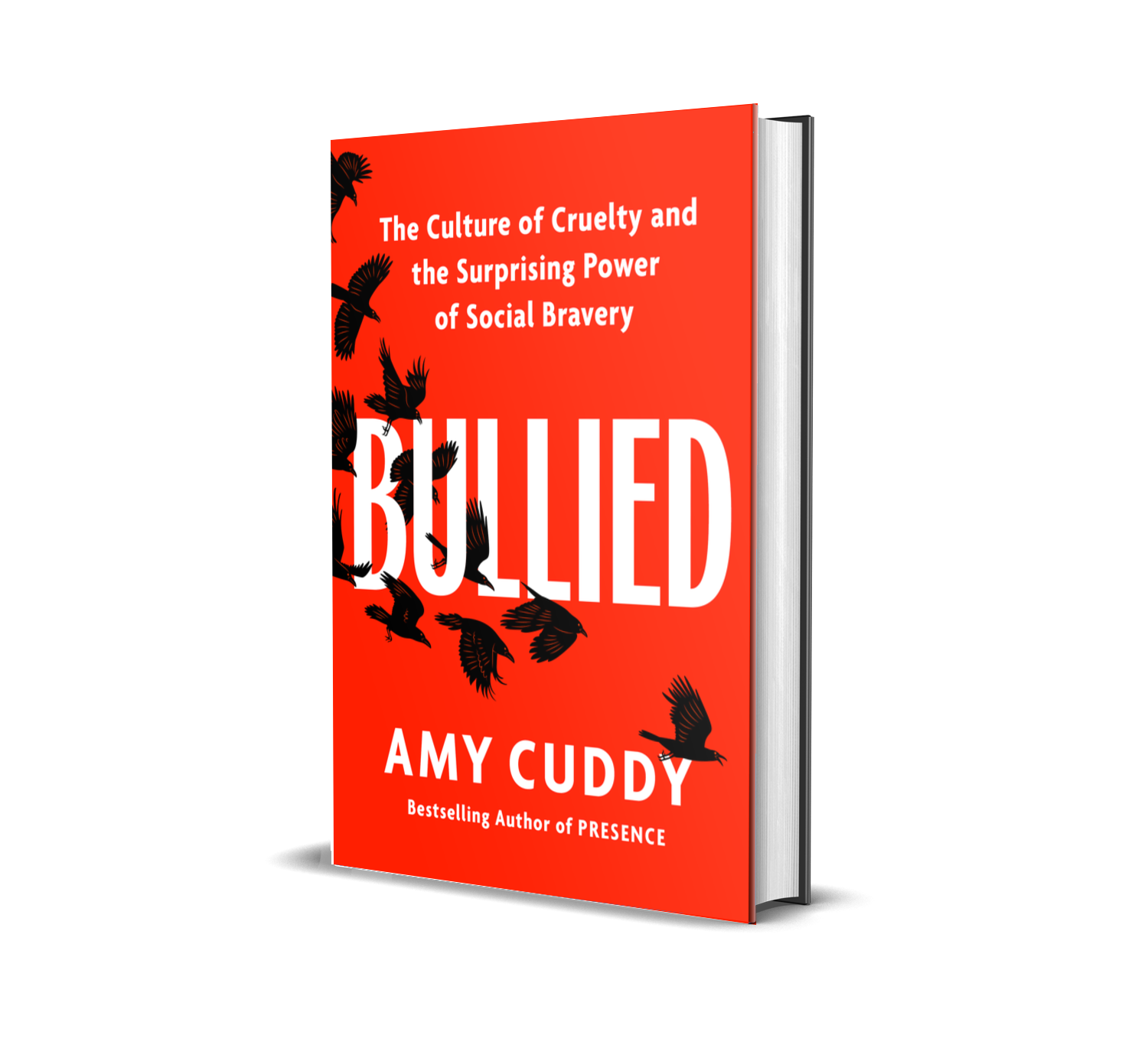 Bullied | Amy Cuddy